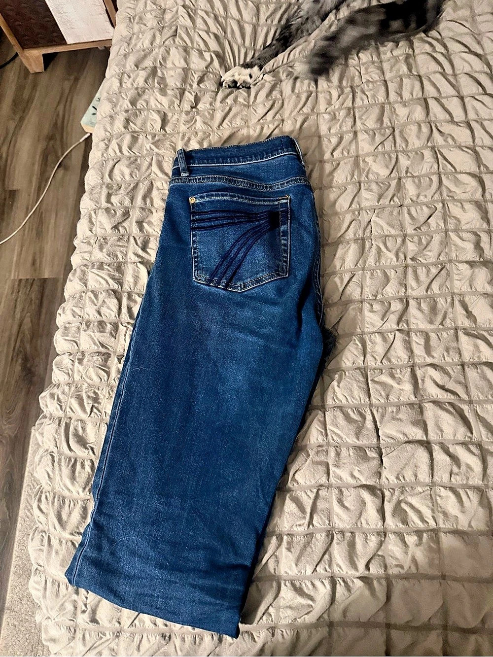 7 For All Mankind Blue Jeans